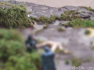 Mayat Wanita Ditemukan di Dam Blokagung Banyuwangi