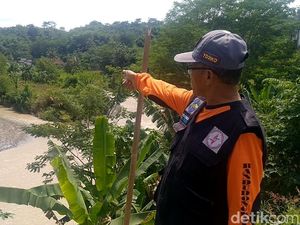 Kronologi Pria Pemalang Tewas Terseret Banjir Usai Sejam Panjat Pohon Kronologi Pria Pemalang Tewas Terseret Banjir Usai Sejam Panjat Pohon