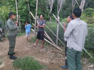 Satu Induk-Dua Anak Beruang Madu Masuk Kebun Karet di Riau, Warga Resah