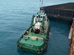 Nasib Batu Bara di Tengah Rencana Transisi Energi