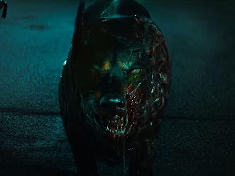 Cerberus dalam Resident Evil: Welcome to Raccoon City