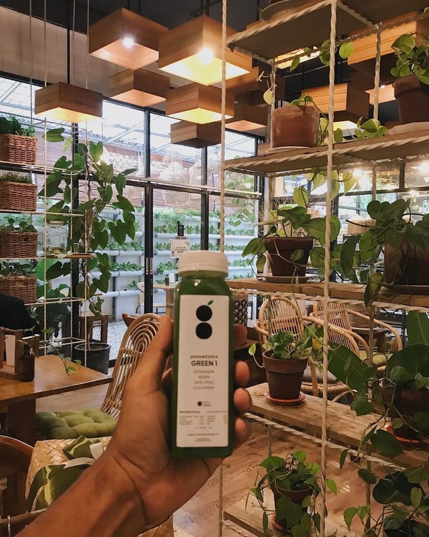 Green Smoothie Factory/Foto: instagram.com/greensmoothiefactory/ Resto dan bar Green Smoothie Factory