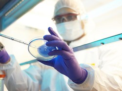 10 Ilmuwan RI Teratas Berdasarkan Indeks I10 Versi AD Scientific 2026, Ada Dosenmu?