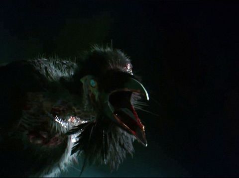 Infected Crows dalam Resident Evil: Welcome to Raccoon City