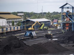 Luhut Buru Pengusaha Tambang yang Ngutang Batu Bara ke PLN