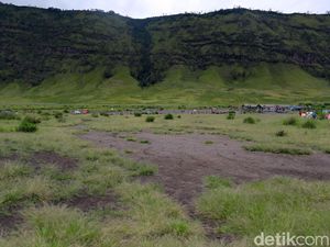 Bukit Teletubbies Bromo Terbakar gegara Flare, 6 Orang Diamankan Bukit Teletubbies Bromo Terbakar gegara Flare, 6 Orang Diamankan
