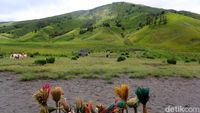 Nikmati Hijaunya Padang Savana di Bukit Teletubbies Bromo