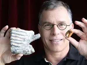 OMG! Gini Nih Orang Tajir, Beli Apa Aja yang Penting Puas