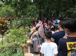 20.500 Lebih Pengunjung Berlibur di KBS Saat Tahun Baru 2022