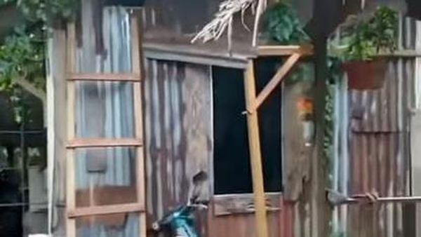 7 Foto Rumah Gubuk yang Dalamnya Bak Rumah Sultan, Bikin Melongo