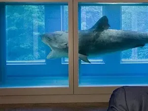 Orang Kaya Mah Bebas Beli Apa Aja, Tapi Nggak Gini Juga Kali!