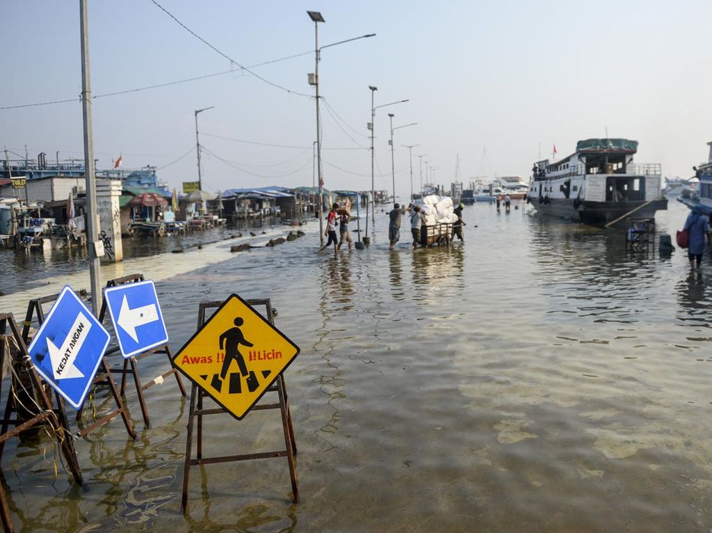 Warga Pesisir Jakarta Diminta Waspadai Banjir Rob Sepekan ke Depan