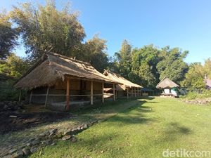 Tradisi Unik Cuma di RI, Desa Ini Pel Lantai Rumah Pakai Kotoran Sapi