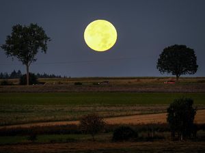 Fase Bulan Baru-Perigee, Ini Daftarnya Selama Januari 2022 Fase Bulan Baru-Perigee, Ini Daftarnya Selama Januari 2022