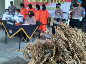 Jaringan Pengedar Antarprovinsi Dibekuk, Ganja 7,5 Kg Disita Polisi Yogya Jaringan Pengedar Antarprovinsi Dibekuk, Ganja 7,5 Kg Disita Polisi Yogya