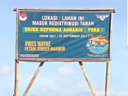 119 Hektare Lahan PTPN XII Diserobot Warga yang Terprovokasi Mafia Tanah