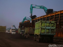 Korsel-Jepang Minta Ekspor Batu Bara Dibuka, DPR: Dahulukan Dalam Negeri