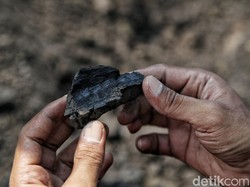 Target Produksi Batu Bara PTBA 36,41 Juta Ton, 25% buat Dalam Negeri