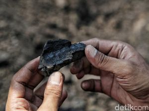 Tak Lagi Lewat Anak Usaha, PLN Beli Batu Bara Langsung ke Penambang Tak Lagi Lewat Anak Usaha, PLN Beli Batu Bara Langsung ke Penambang