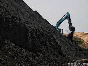 Kena Durian Runtuh Batu Bara, Laba PTBA Melesat 246% Tembus Rp 6,2 T Kena Durian Runtuh Batu Bara, Laba PTBA Melesat 246% Tembus Rp 6,2 T