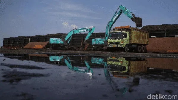 Melihat Aktivitas Bongkar Muat Batu Bara di Tengah Larangan Ekspor
