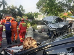 Hilang Kendali, Mobil Pajero Hantam Pohon Palem Besar di Pekanbaru