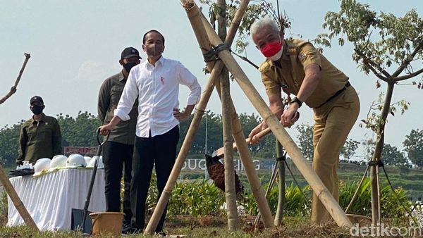 Momen Jokowi dan Ganjar Tanam Pohon di Bendungan Randugunting