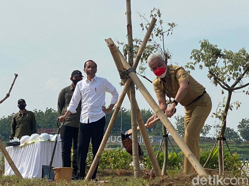 Momen Jokowi dan Ganjar Tanam Pohon di Bendungan Randugunting