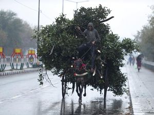 Demi Sesuap Nasi dan Bertahan Hidup
