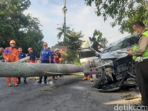 Pajero di Pekanbaru Tabrak Pohon Palem hingga Roboh