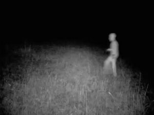 Heboh Penampakan yang Diklaim Alien Transparan