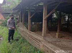 Niat Banget, Maling di Blitar Bikin Jembatan Bambu untuk Curi 350 Bebek