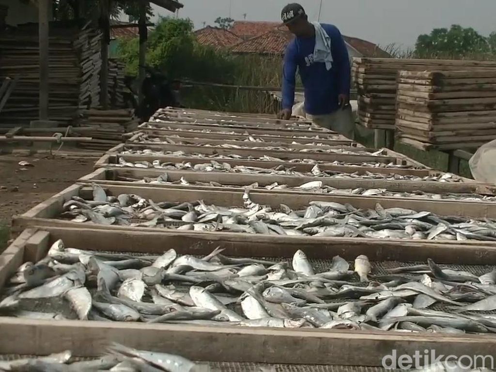 Harga Elpiji Meroket, Perajin Ikan Asin Subang Rogoh Kocek Lebih Dalam