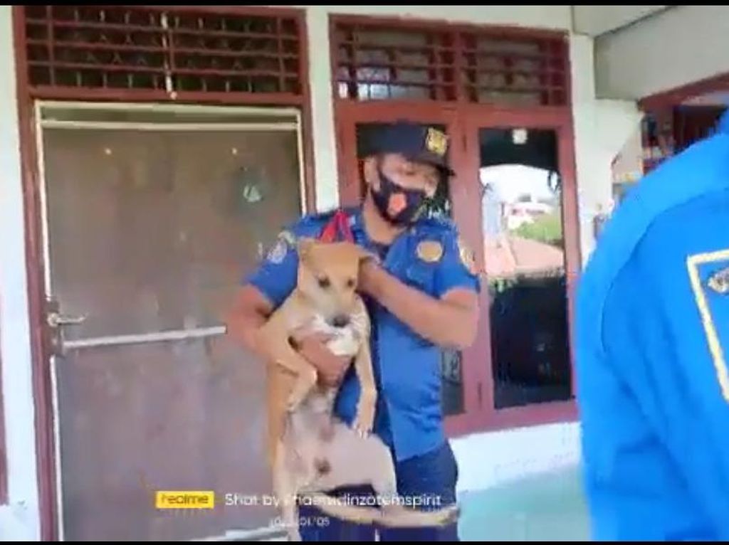 Anjing Liar Bikin Resah Warga Bogor, Damkar Terjun Mengevakuasi