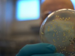 Perusahaan Asal Finlandia Kembangkan Makanan Buatan dari Udara