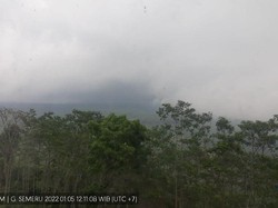 Usai Luncurkan Awan Panas Sejauh 5 Km, Kondisi Semeru Kelabu