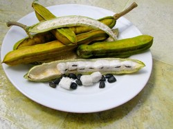 Viral di TikTok, Buah Salju Khas Bedugul Bali Ini Ternyata Kaya Manfaat