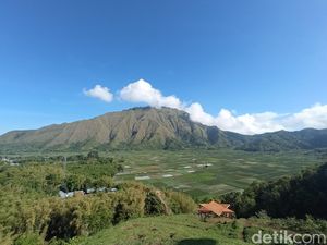 Melamun Manja Menatap Sembalun dari Ketinggian, Ini Tempatnya