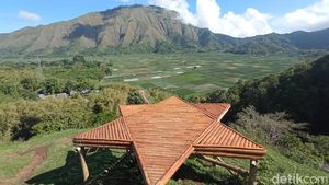 Foto: Bukit Selong, Perbukitan Instagrammable di Sembalun