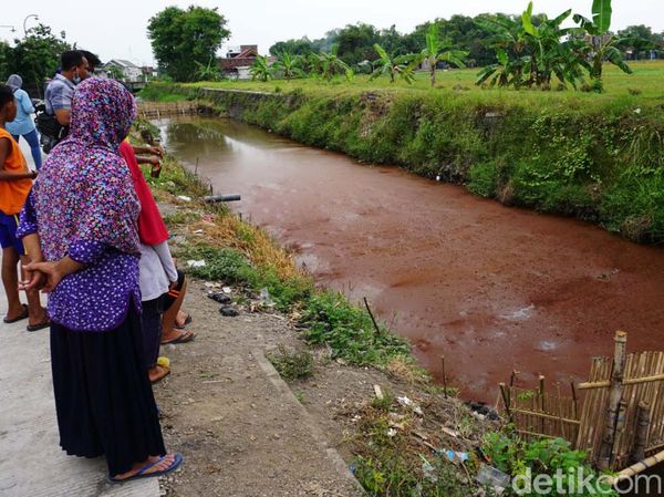 Hiii...Sungai Ledeng di Mojokerto Berwarna Merah Darah