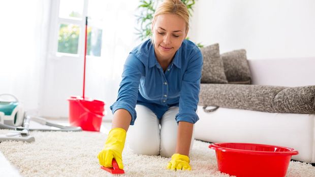 Attractive housewife cleaning carpet with brush and doing housework