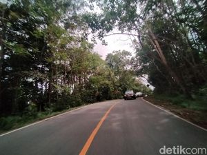 Ekonom Sebut Pindah Ibu Kota Tak Ada Positifnya, Awas APBN Makin Tekor!