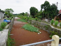 Air Merah Darah di Sungai Mojokerto Sudah Terjadi Sejak 3 Hari
