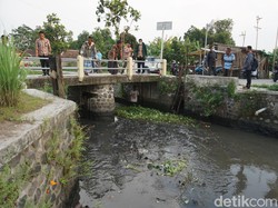 DLH Mojokerto Sebut Sungai Ledeng Berwarna Merah Darah Karena Lumut
