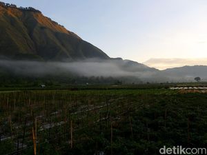 Titik 360, Titik Sunrise Tanpa Pendakian di Kaldera Purba Sembalun Titik 360, Titik Sunrise Tanpa Pendakian di Kaldera Purba Sembalun