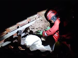 Sarang Tawon Sebesar Galon Air di Bogor Dievakuasi Petugas Damkar