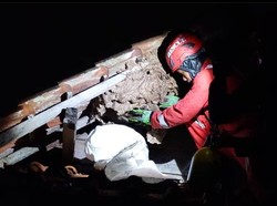 Sarang Tawon Sebesar Galon Air di Bogor Dievakuasi Petugas Damkar