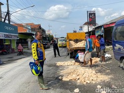 Jalan Rusak di Lamongan yang Viral jadi Lokasi Angon Bebek  Segera Dibangun