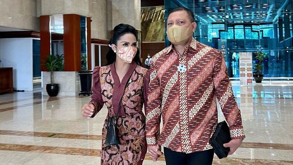 Raul Lemos Temani Krisdayanti Ngantor di DPR