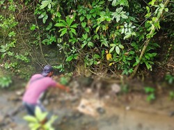 Tengkorak Manusia Ditemukan di Sungai Banyuwangi